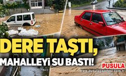 Dere taştı, mahalleyi su bastı!