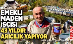 Emekli maden işçisi 43 yıldır arıcılık yapıyor