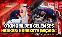 Otomobilden gelen ses herkesi harekete geçirdi!