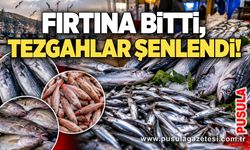 Fırtına bitti, tezgahlar şenlendi!