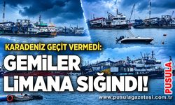 Karadeniz geçit vermedi: Gemiler limana sığındı!