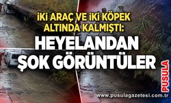 İki araç ve iki köpek altında kalmıştı: Heyelandan şok görüntüler