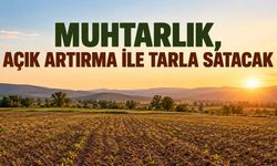 Muhtarlık, açık artırma ile tarla satacak