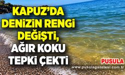 Kapuz’da denizin rengi değişti, ağır koku tepki çekti