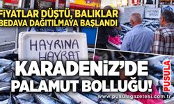 Karadeniz’de palamut bolluğu! Fiyatlar düştü, balıklar bedava dağıtılmaya başlandı