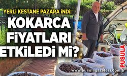 Yerli kestane pazara indi: Kokarca fiyatları etkiledi mi?