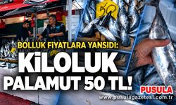 Palamut bolluğu fiyatlara yansıdı: Kiloluk palamut 50 TL!