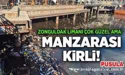 Zonguldak Limanı çok güzel ama: Manzarası kirli!
