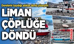Liman çöplüğe döndü: Derelerin taşıdığı atıklar deniz yüzeyini kapladı