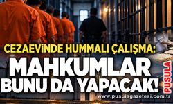 Cezaevinde hummalı çalışma: Mahkumlar bunu da yapacak!