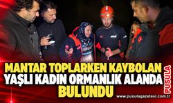 Mantar toplarken kaybolan yaşlı kadın ormanlık alanda bulundu