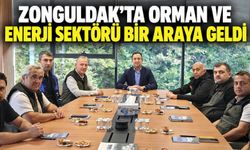 Zonguldak'ta orman ve enerji sektörü bir araya geldi