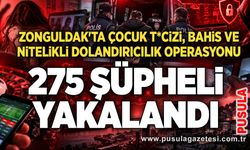 Zonguldak'ta çocuk t*cizi, bahis ve nitelikli dolandırıcılık operasyonu: 275 şüpheli yakalandı