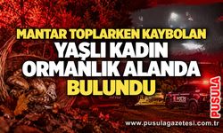 Mantar toplarken kaybolan yaşlı kadın ormanlık alanda bulundu