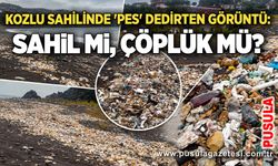 Kozlu sahilinde 'pes' dedirten görüntü: Sahil mi, çöplük mü?