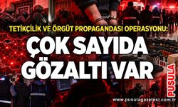 Tetikçilik ve örgüt propagandası operasyonu: Çok sayıda gözaltı var