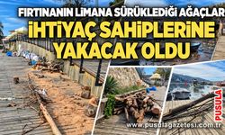 Fırtınanın limana sürüklediği ağaçlar ihtiyaç sahiplerine yakacak oldu