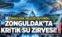 Zonguldak Valiliği duyurdu: Zonguldak'ta kritik su zirvesi!