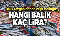 Balık tezgâhlarında çeşit bolluğu: Hangi balık kaç lira?