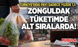Türkiye'deki payı sadece yüzde 1,1: Zonguldak tüketimde alt sıralarda!