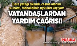 Dere yatağı tıkandı, çeşme alanını su bastı, mahallelinin uykuları kaçıyor: Vatandaşlardan yardım çağrısı!
