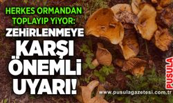 Herkes ormandan toplayıp yiyor: Zehirlenmeyle karşı önemli uyarı!
