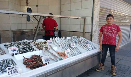 Bayram bitti, balıkçılar satışların artmasını bekliyor