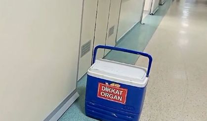 Beyin ölümü gerçekleşti, organları 3 hastaya nakledildi