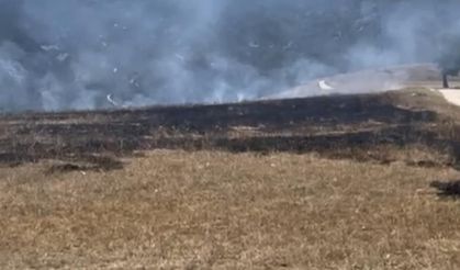 Anız yangını: 1 dönüm tarım arazisi zarar gördü