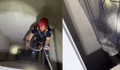 Apartman boşluğuna düşen yavru martı ekiplerce kurtarıldı