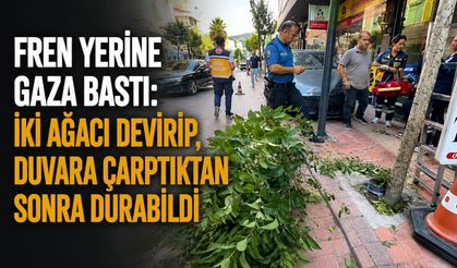 Fren yerine gaza bastı: İki ağacı devirip, duvara çarptıktan sonra durabildi