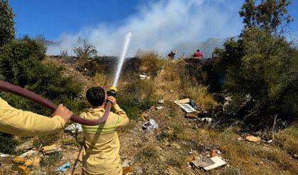 Ağaçlık alanda yangın: Söndürme çalışmaları devam ediyor