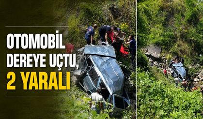 Otomobil dereye uçtu, 2 yaralı