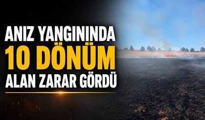 Anız yangınında 10 dönüm alan zarar gördü