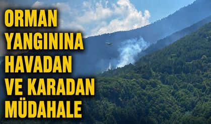 Orman yangınına havadan ve karadan müdahale