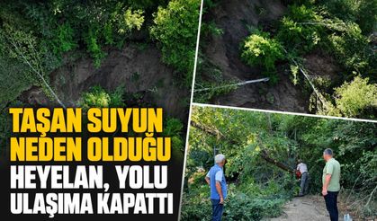 Taşan suyun neden olduğu heyelan, yolu ulaşıma kapattı