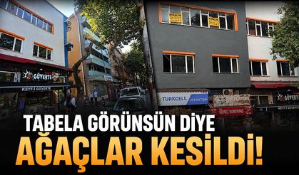 Tabela görünsün diye ağaçlar kesildi!