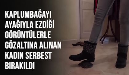 Kaplumbağayı ayağıyla ezdiği görüntülerle gözaltına alınan kadın serbest bırakıldı