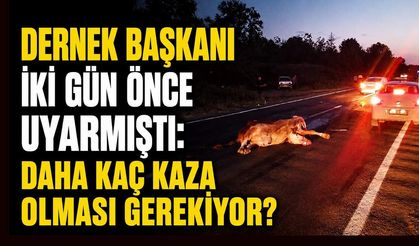 Dernek Başkanı iki gün önce uyarmıştı: Daha kaç kaza olması gerekiyor?