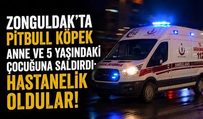Zonguldak’ta pitbull köpek anne ve 5 yaşındaki çocuğuna saldırdı: Hastanelik oldular!