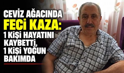 Ceviz ağacında feci kaza: 1 kişi hayatını kaybetti, 1 kişi yoğun bakımda