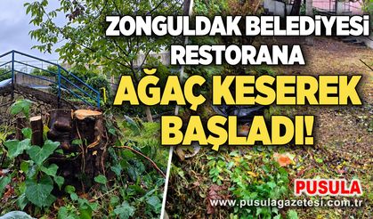 Zonguldak Belediyesi restorana ağaç keserek başladı!