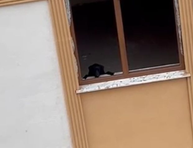 1 daire 3 kişiye satılınca 15 yıldır yıkılamayan binada köpek kurtarma çalışması yapıldı