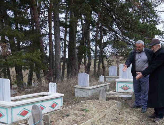 Kış uykusuna yatamayan ayılar, mezarları kazmaya başladı