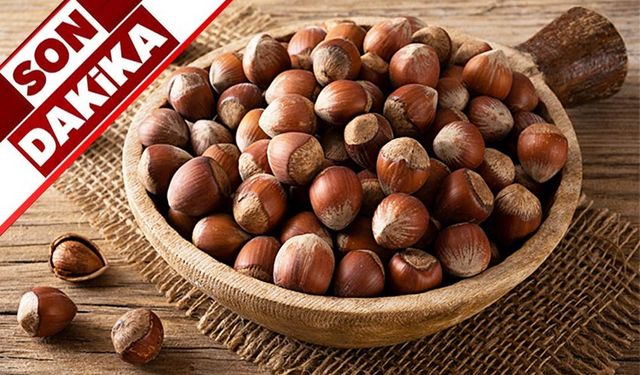 Fındık ihracatında artış