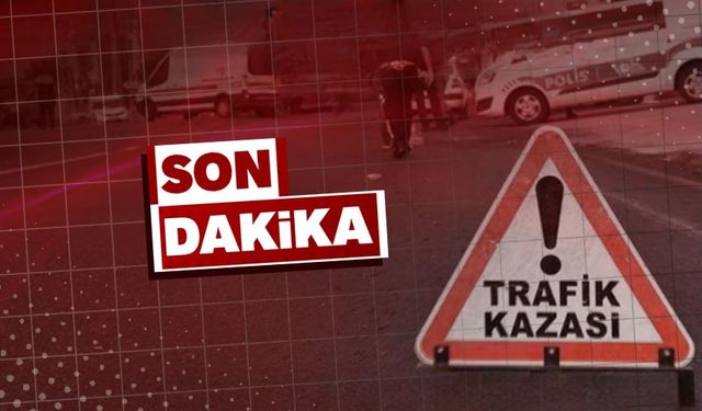 Virajı alamayan araç sürücüsü refüje çıktı