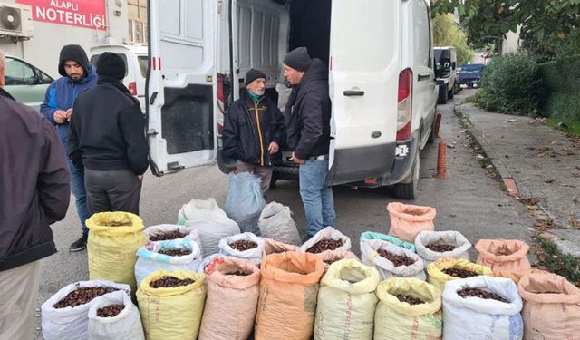 Kestane için pazarda borsa kurdular