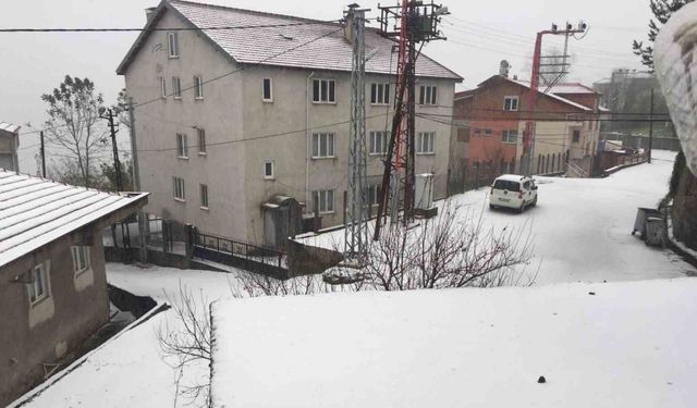 Mevsimin ilk kar yağışı başladı