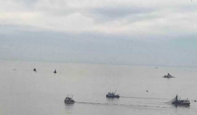 Balıkçı tekneleri Kozlu açıklarına akın etti