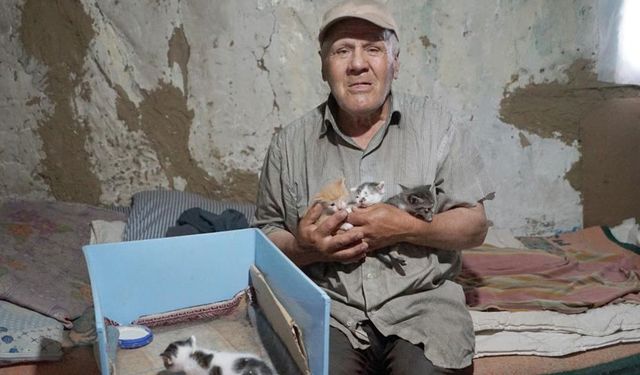 Evinde baygın halde bulundu, beslediği 36 kedisi ise sahipsiz kaldı